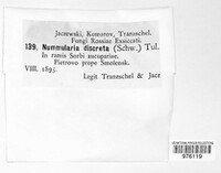Biscogniauxia marginata image